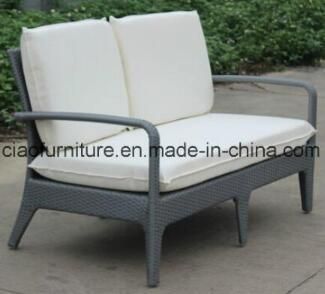 Garden Furniture Rattan Love Seater Garden Leisure Sofa (CF922B)