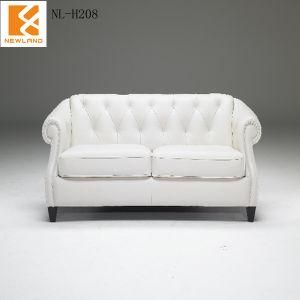 Modern Leather Sofa, Combination Sofa ,2013 Leather Sofa Design (NL-H208)