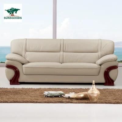 Modern Design Leisure Couch Living Room Home Wooden Frame Sofa Furniture