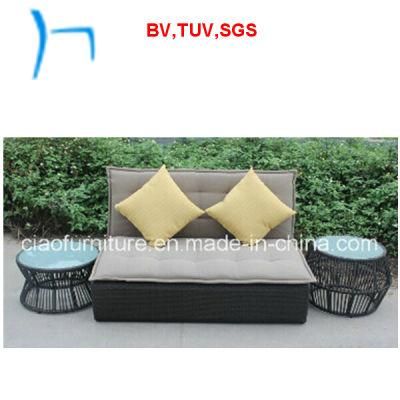 F- Rattan Garden Furniture Modern Wicker Sofa (CF1026)