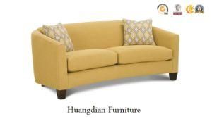 Simple Sofa Furniture Designs Leisure Sofa for Living Room Used (HD161)