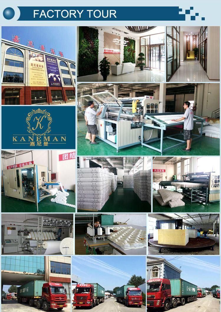 China Mattress Manufacturer Customized Foldable Sofa Bed Foam Mattress