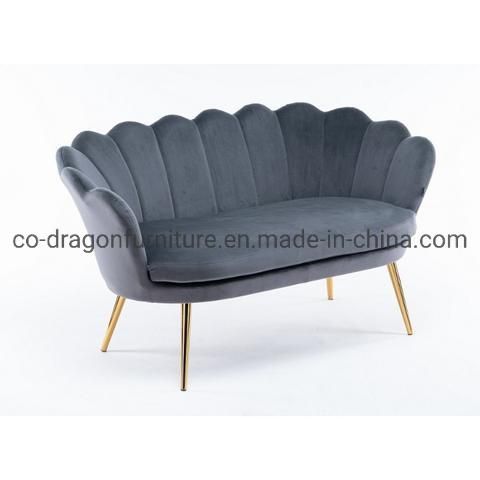 Modern Fashion Two Seats Living Room Sofa for Home Furniture