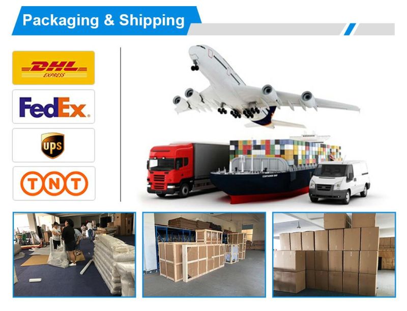 Factory Wholesale Custom Living Room Furniture Classical Sofa/Wedding Lounge Sofa