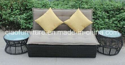 F- Rattan Garden Furniture Modern Wicker Sofa (CF1026)
