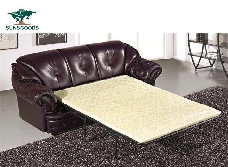 Leisure Style Wooden Frame Genuine Leather Sleeper Sofa Bed