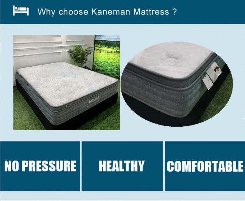 Sofa Bed Spring Mattress Pocket Spring Mattress King Size Foam Mattress