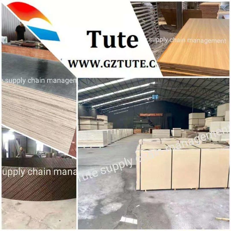 Factory Direct Selling European Style Luxury Leather Sofa