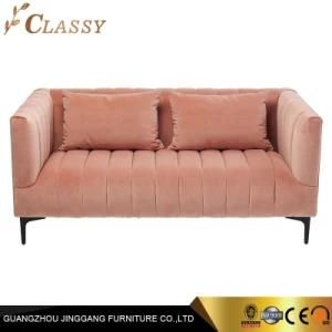 Luxury Furniture Leisure Living Room Sofa