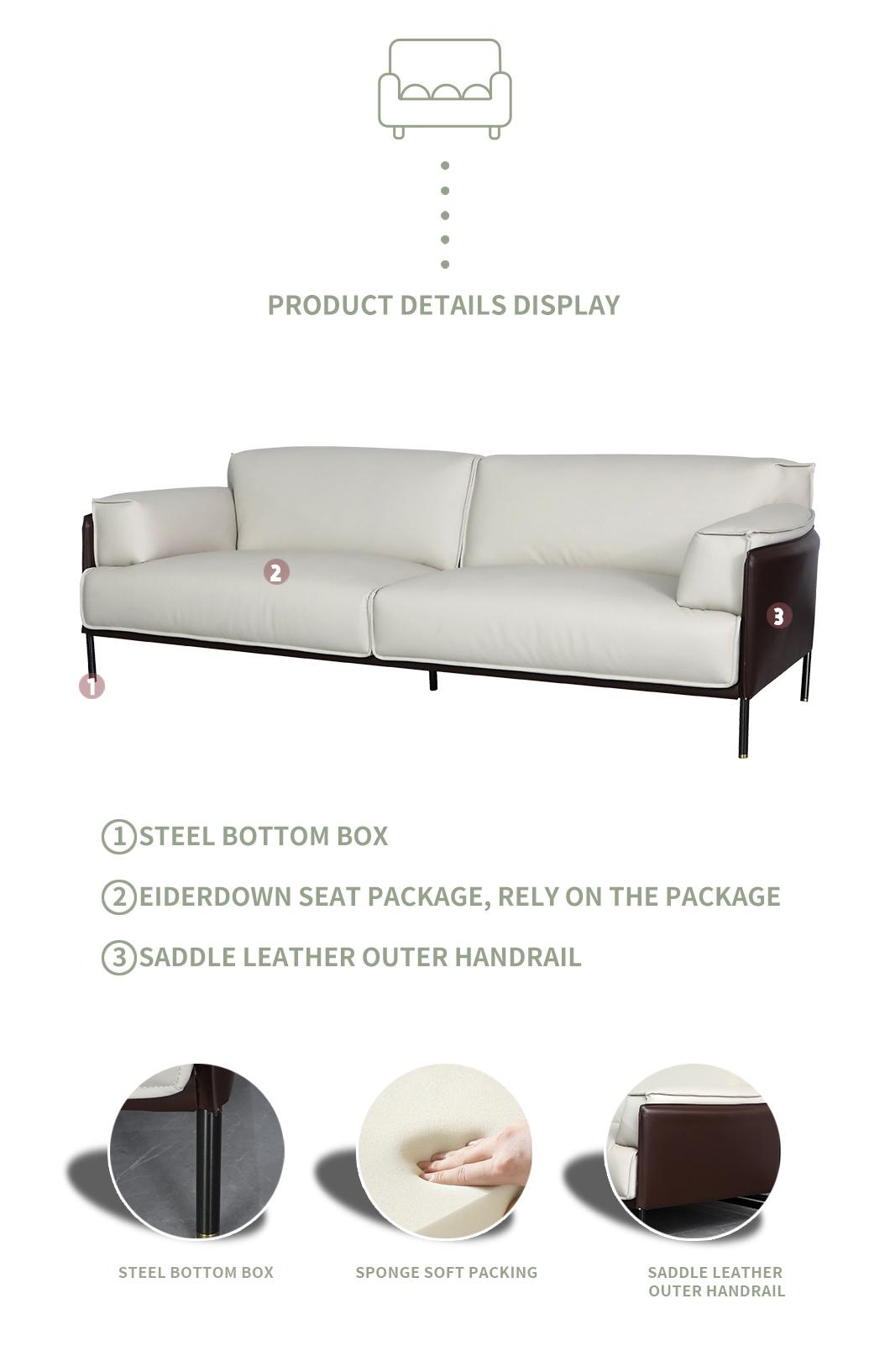 Customized Color and Size 2 Seater Living Room Leather Sofa