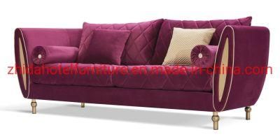 Contemporary Italy Design Home Reception Living Room Furniture Sofa