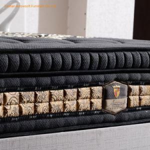 Premium Edges Non Skid Bottom Anti Mites Sofa Coil Continuous Spring Mattress