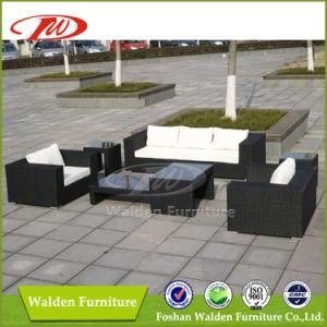 Modern Dining Set- Rattan Sofa Set (DH-772)