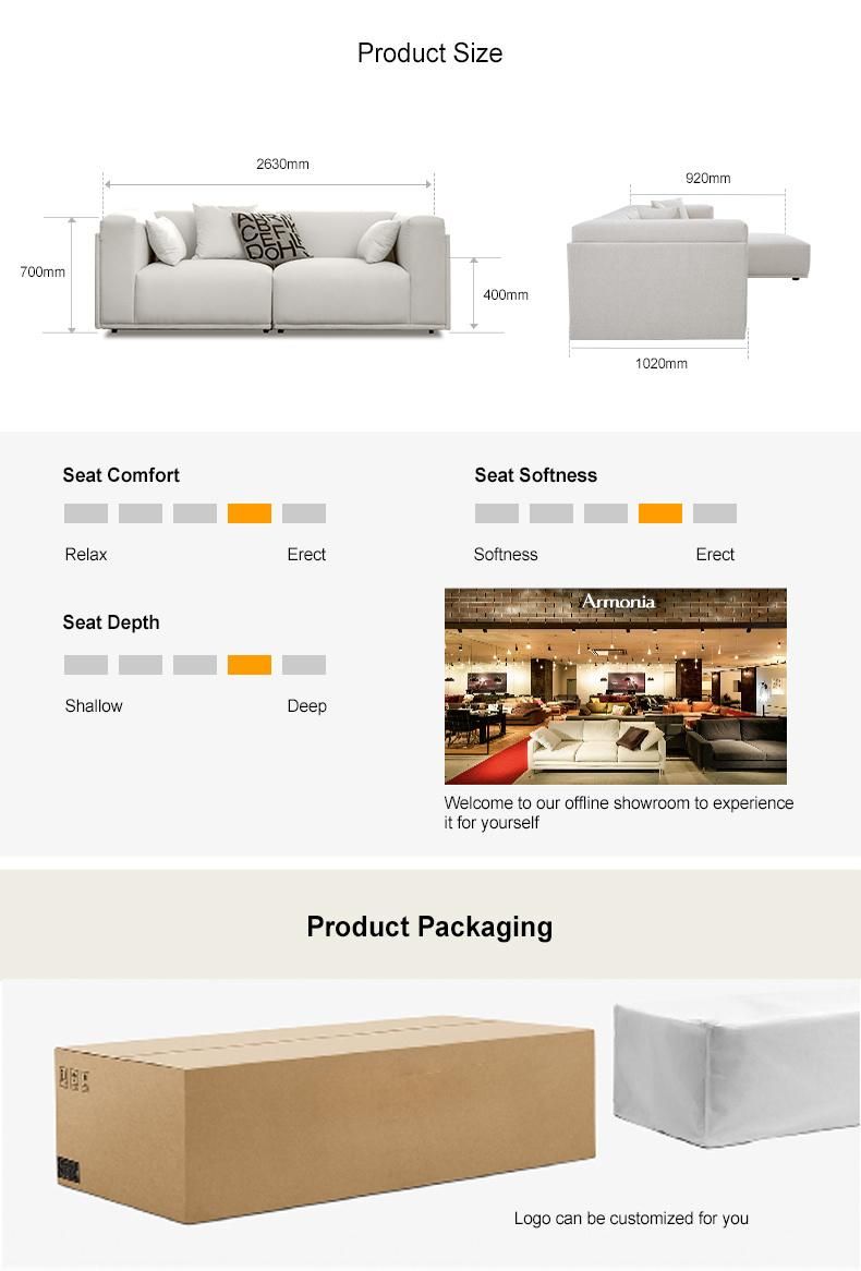Modern Backrest Cushion Sofa Home Furniture Fabric Sofa