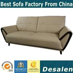 America Market Combination Home Furniture Loveseat Leather Sofa (8080#)