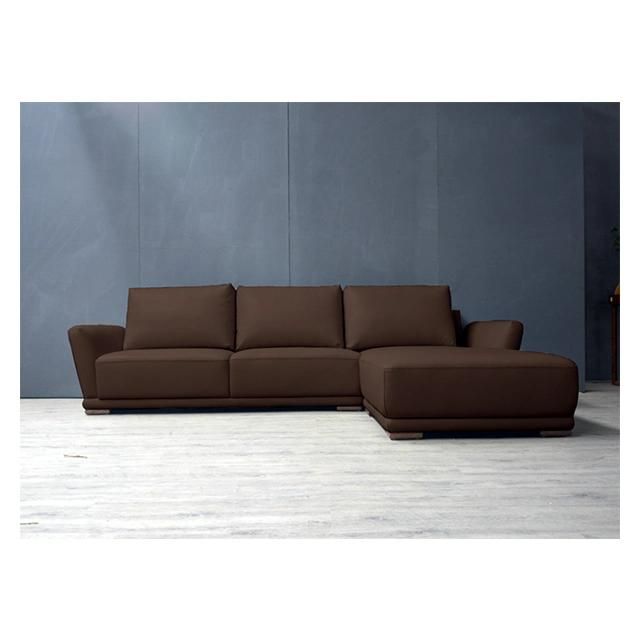 Modern and Simply Fabric with Solid Wood Short Leg Sofa for Living Room