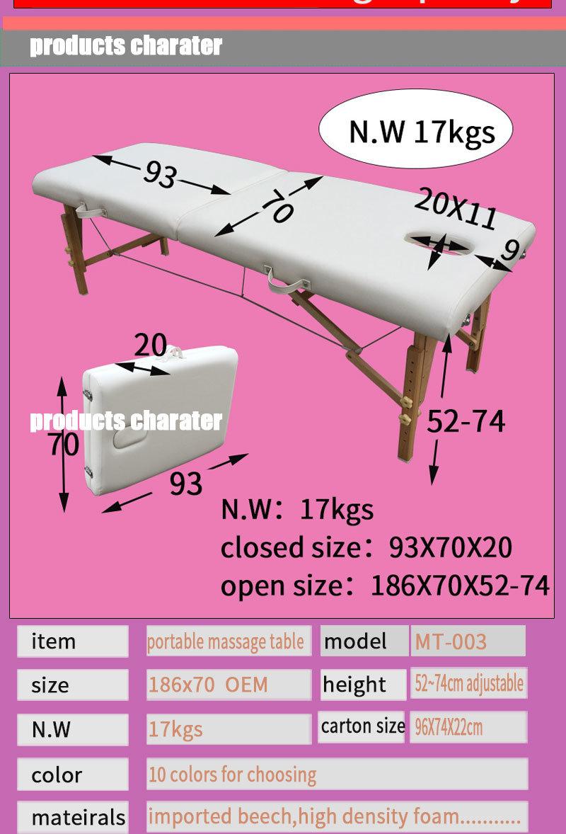 Foldable and Portable Economy Massage Table Massage Bed Couch and Beauty