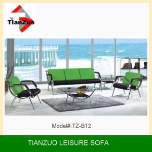 Tianzuo 2013 Hot Leisure Sofa (TZ-B12)