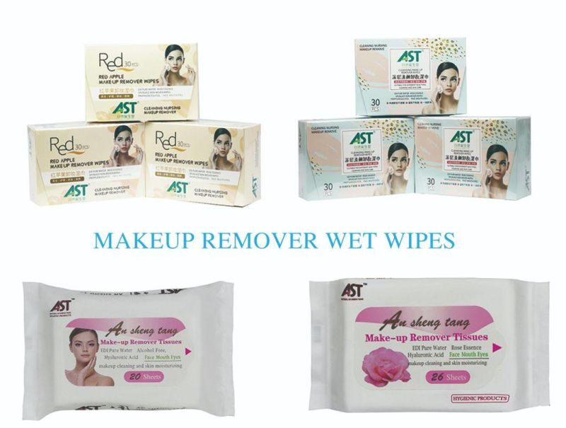 OEM/ODM Car or Sofa Cleaning Wet Wipes for Leather