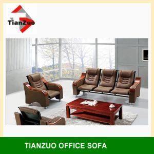 Hot Design 1+1+3 Leisure Sofa (TZ-B45)