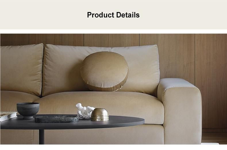 Medium Back Non Inflatable Carton Iron Leg Moder Design Fabric Sofa