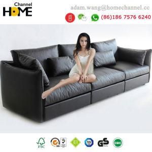 Modern Design Leather Sofa for Home Furniture (HC-Y30)