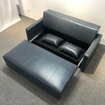 Small Apartment Double Storage Storage Push-Pull Function Sofa Bed