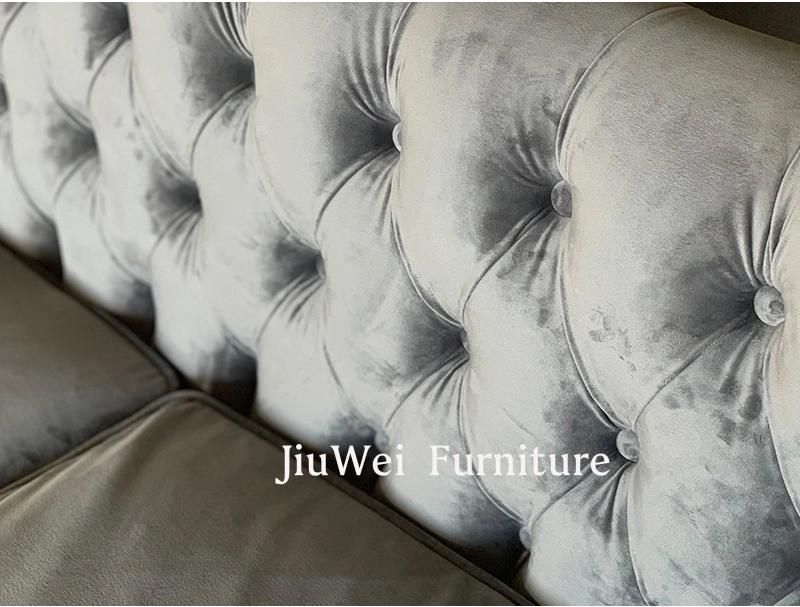 Hot Sale New Product Living Room Furniture Velvet Sofa/Lounge Sofa