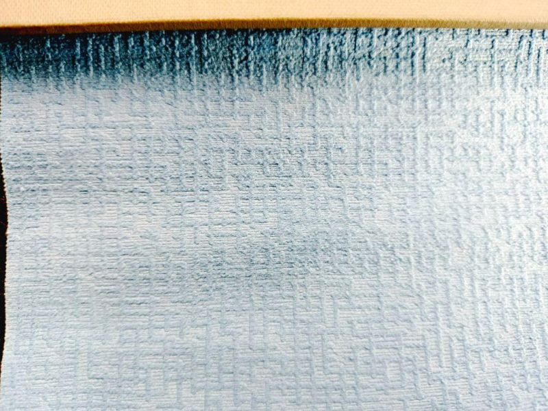 Lower Price with Good Quality 100% Polyester Brushed Warp-knitting Embossed Cortina Curtain Fabric or Sofa Fabric