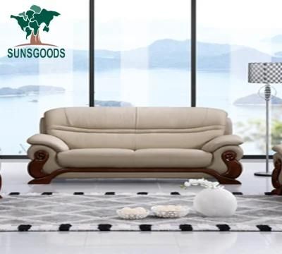 Modern Design Living Room Leisure Sofa Home Furniture Leisure Genuine Leather Sofa