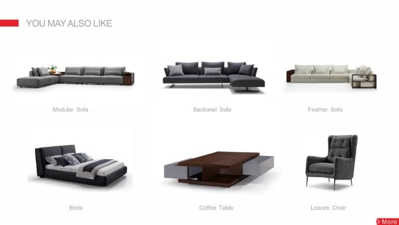 Home Furniture Living Room Metal Base Simple Modern Sofa