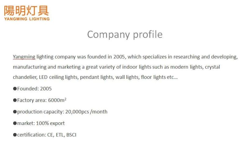 Silver Crystal Floor Lamp Stand Light Sofa Side Light with on off Foot Switch in The Living Room
