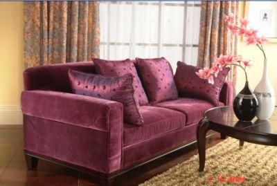 Hospitality Sofa/Hotel Living Room Sofa/Modern Sofa for 5 Star Hotel (JNS-022)