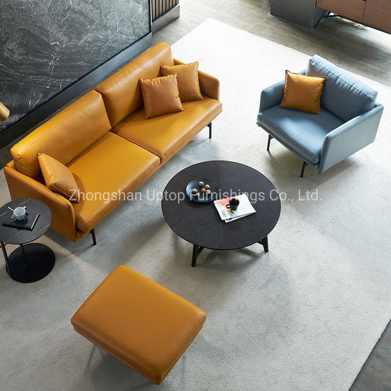 Factory Customized Hot Living Room Sofa for Sales (SP-SF201)