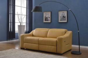 Home Furniture Yellow Genuine Leather Sofa Set