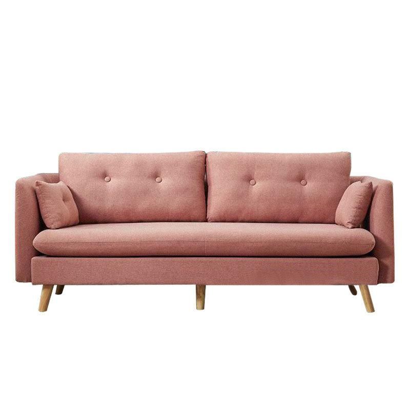 Small Apartment Living Room Pink Design 2 Seater Fabric Sofa