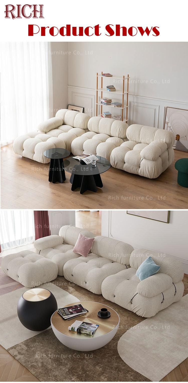 Nordic Style Designer Living Room Furniture Velvet Teddy Fur Fabric Sectional Sofa Flexible Combination Couch