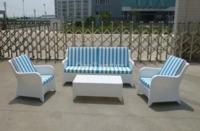 F- New Style Rattan Garden Outdoor Sofa (FC-040)