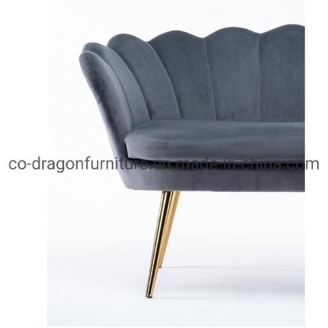Modern Fashion Two Seats Living Room Sofa for Home Furniture