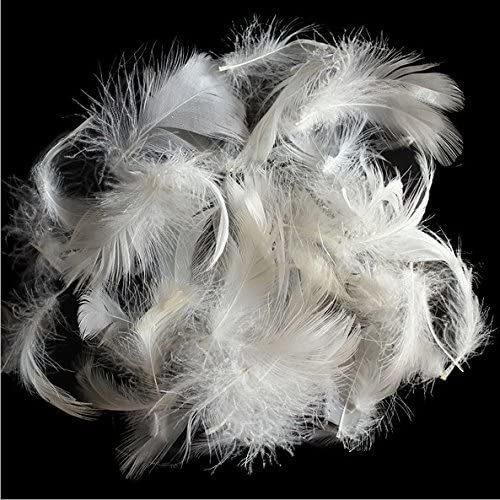 Bulk 2-4cm White Goose Feathers for Mattress, Sofa and More