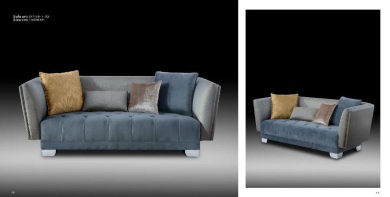 Home Sofa/Fabric Sofa/Affordable Luxury Furniture/Classical Sofa