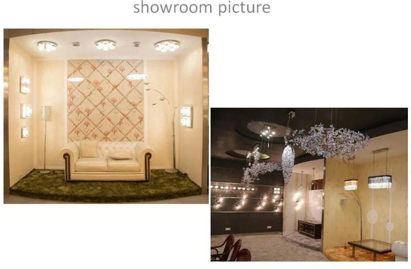 Silver Crystal Floor Lamp Stand Light Sofa Side Light with on off Foot Switch in The Living Room