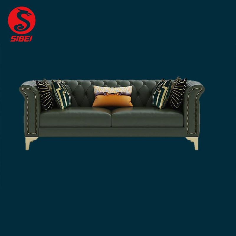 Modern Luxury Leisure Couch Home Furniture Set Living Room Furniture Leather Sofa