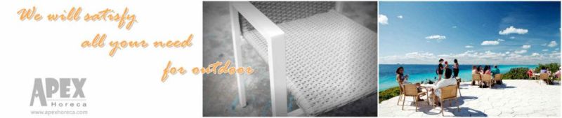 Outdoor Sofa Plastic Wood Lounge Garden Furniture AC1303