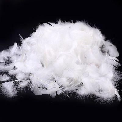 Washed White Down Goose Feathers for Pillow/Cushion/Sofa