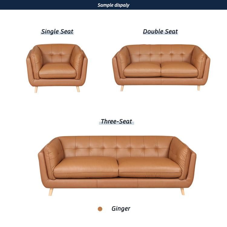 Healthtec New Design European Leather Couch Furnitire Living Room Sofa