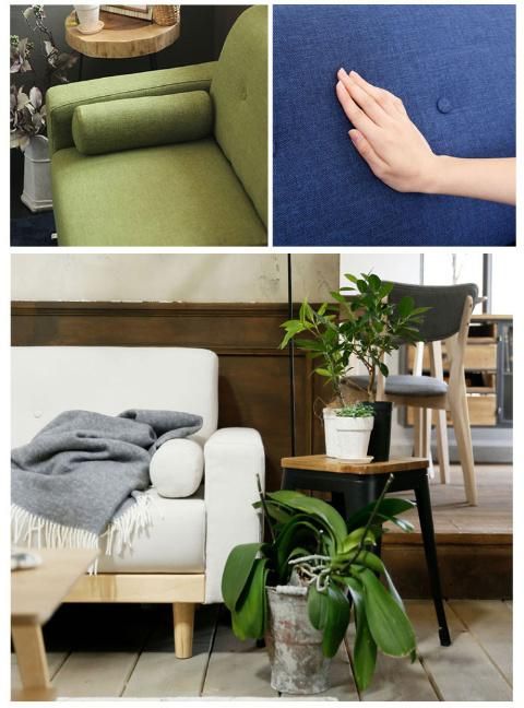 Living Room Fresh Design Solid Wood Frame Seating Fabric Sofa