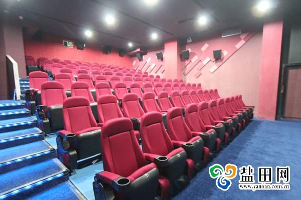 VIP Media Room Home Theater Multiplex Theater Cinema Auditorium Movie Sofa