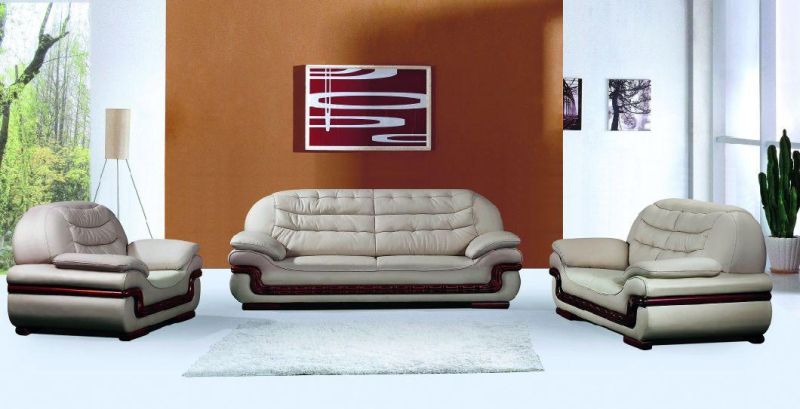 Wooden Frame Fancy Sofa Set Real Leather New Design Sleeper Sofa Furniture