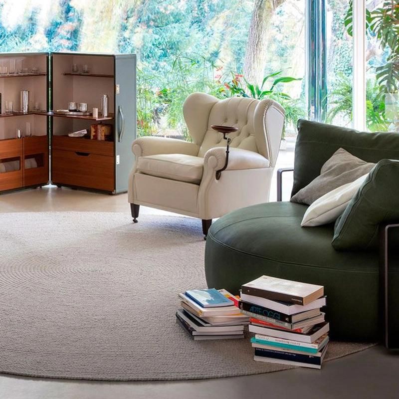 Indoor Luxury Leisure Comfortable Living Room Single Sofa
